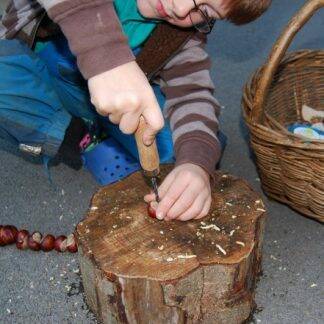 Tool use & Traditional Crafts