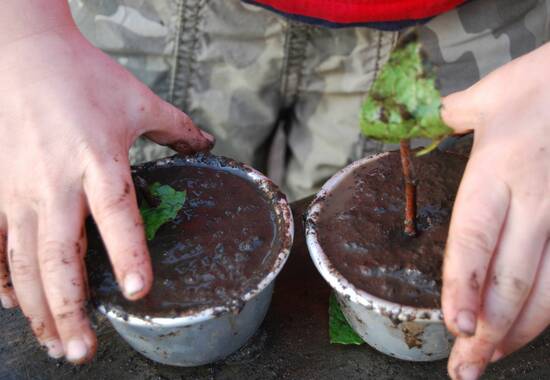 manual override of the alt attribute